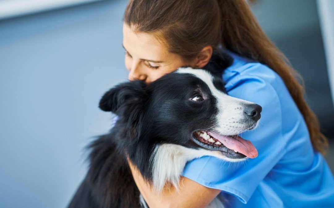 pagamento dilazionato per servizi veterinari