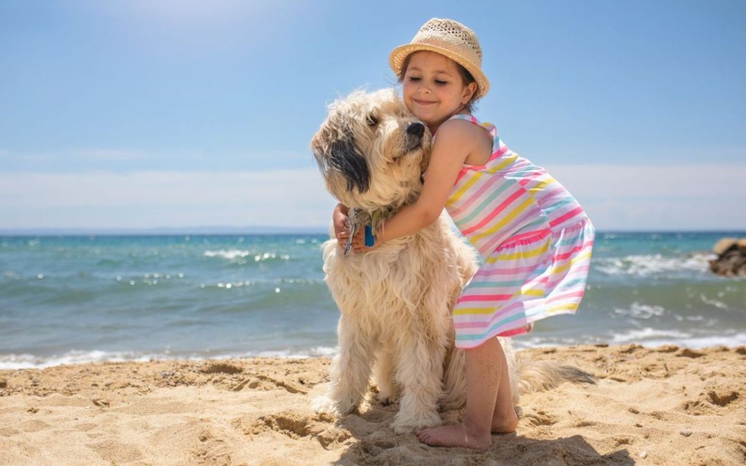 cane in spiaggia